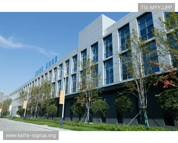 凯发旗舰网站怎么样啊,网站界面设计是否人性化用户操作体验全面评估 凯发旗舰网站怎么样啊,网站界面设计是否人性化用户操作体验全面评估